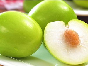 Táo gió Ninh Thuận