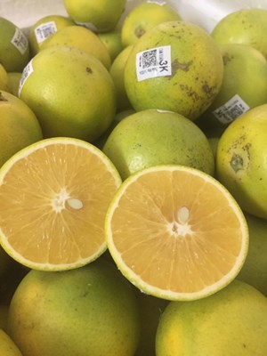 Cam xoàn hữu cơ 3k