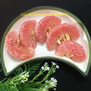 Bưởi đỏ Tân lạc Hòa bình, Vietgap