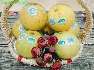 Lẵng quả mã GV07