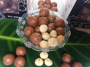 Hạt macca Đăk Lak, hộp hút chân không 500gr