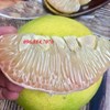 Bưởi Phúc Trạch đặc sản Hà Tĩnh, trồng tiêu chuẩn Vietgap.
