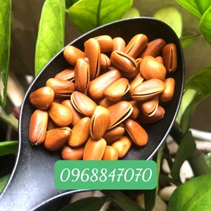 Hạt thông Siberian Pinenuts hộp 300gr