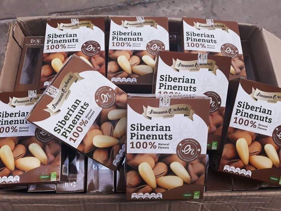 Hạt thông Siberian Pinenuts hộp 300gr