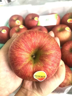 Táo đỏ Fuji nhập khẩu từ Nhật Bản.