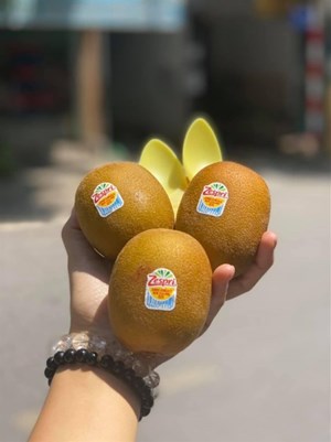 Kiwi Vàng New Zealand