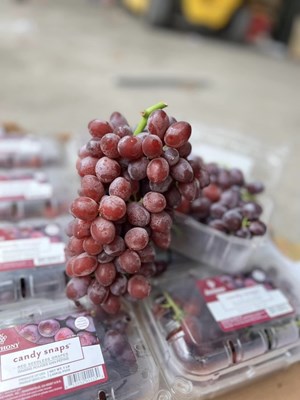 Nho kẹo Mỹ thơm ngọt ngào, hộp 450gr