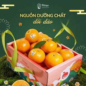 Quýt sim vườn Vitropi Globalgap, thùng VIP 2.5 kg.