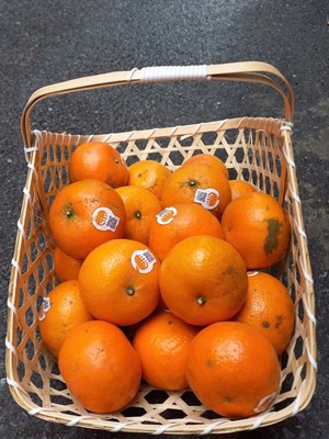 Quýt sim vườn Vitropi Globalgap, thùng hơi rám, 5kg.