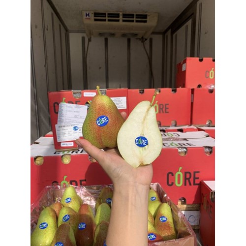 Lê má hồng Nam phi