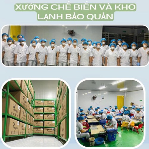 Long nhãn Hưng yên loại 1, hàng OCOP, đóng hộp 250gr