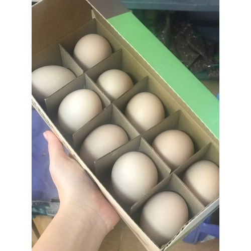 Trứng gà đông trùng Ngọc hương thơm béo, giàu dinh dưỡng, hộp 10 quả.