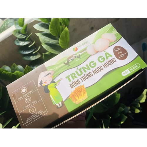Trứng gà đông trùng Ngọc hương thơm béo, giàu dinh dưỡng, hộp 10 quả.