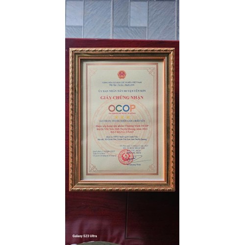 Chuối Chiên Giòn Chiêu Yên OCOP – Đặc Sản Tuyên Quang Giòn Rụm, Thơm Lừng. Hộp 200gr.