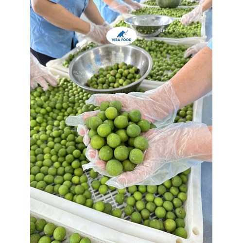 Sấu tươi cạo vỏ cấp đông, túi 500gr