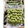 Sấu tươi cạo vỏ cấp đông, túi 500gr
