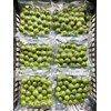 Sấu tươi cạo vỏ cấp đông, túi 500gr