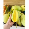 Xoài tứ quý Bến tre / Cần thơ, giòn tan.