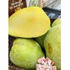 Xoài tứ quý Bến tre / Cần thơ, giòn tan.