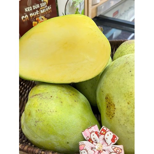 Xoài tứ quý Bến tre / Cần thơ, giòn tan.