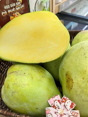 Xoài tứ quý Bến tre / Cần thơ, giòn tan.