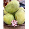 Xoài tứ quý Bến tre / Cần thơ, giòn tan.
