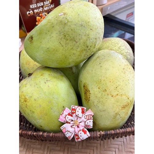 Xoài tứ quý Bến tre / Cần thơ, giòn tan.