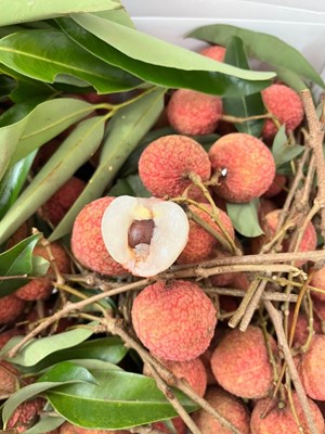 Hộp 3kg vải thiều Lục ngạn Bắc giang, hàng tuyển chọn. 
