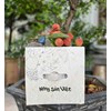 Hộp 3kg vải thiều Lục ngạn Bắc giang, hàng tuyển chọn. 