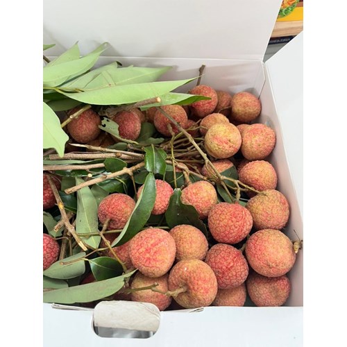 Hộp 3kg vải thiều Lục ngạn Bắc giang, hàng tuyển chọn. 
